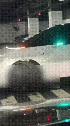 智驾在车库自动泊车 变成“蛄蛹者”