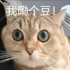 特斯拉新车为何能“飞”