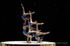 “传统体育、游艺与杂技”类非遗产业化案例分析