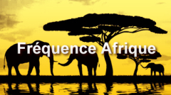 Fréquence Afrique Afr36