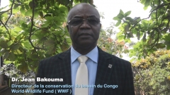 Dr. Jean Bakouma raconte les efforts de WWF pour avoir des modèles de développement compatible avec le maintien de la biodiversité