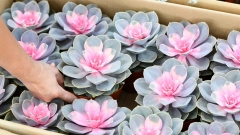 Guizhou restaure l'environnement écologique et développe l'industrie florale