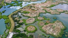Photos : la Réserve naturelle nationale de la zone humide de Lalu en été