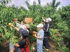 赤壁市蒲圻街道综合文化站公益助农献爱心