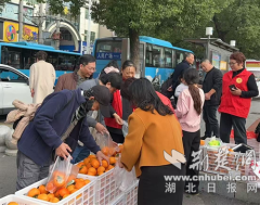 保康县残联：爱心助销，让残疾人朋友“柿”业红火