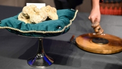 Il tartufo bianco italiano venduto all’asta per . euro