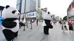 Chengdu, due “peluche di panda” abbracciano i turisti per strada