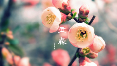 Kalendar "24 Musim": Permulaan Musim Bunga