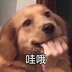2023新生儿爆款名字 宇轩已连续两年霸榜男孩名榜首