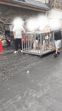 多人将两女子关铁笼游街 摆拍低俗场景被拘留