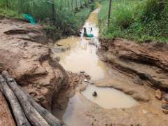 Enchente: 22 cidades decretaram emergência em Pernambuco