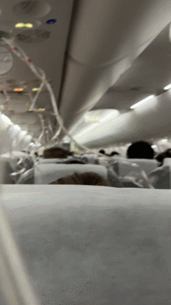 上海飞东京航班故障 高空速降7000米 乘客经历惊魂时刻-引绰济辽工程全线成功试