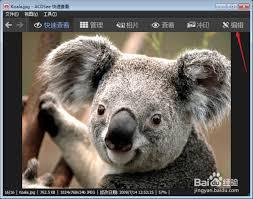 如何用ACDSee修改照片分辨率