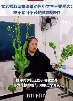 为防止小学生早恋，老师拔了2棵油菜，学生秒懂！