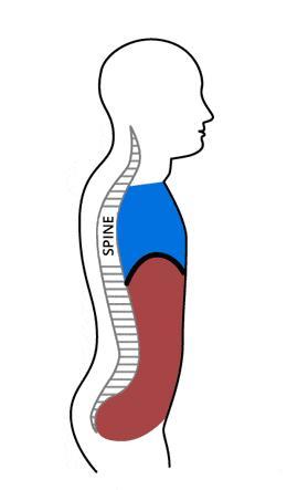 睡觉把手举过头顶为什么很舒服 呼吸模式紊乱信号