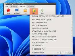 oCam如何修改捕获格式