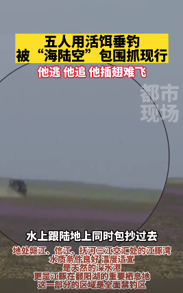 5人用活饵钓鱼被抓现行，网友：他逃 他追 他插翅难飞