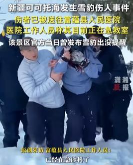 新疆雪豹伤人事发画面曝光 景区曾发安全提醒