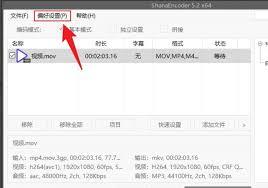 ShanaEncoder如何开启动态音频规范器功能