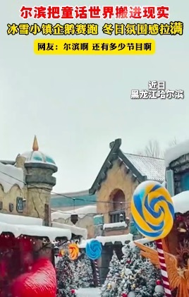 尔滨冰雪小镇企鹅赛跑 网友：尔滨啊还有多少节目
