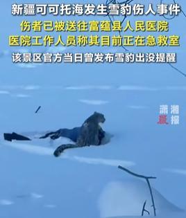 新疆可可托海景区连续拍到雪豹出没