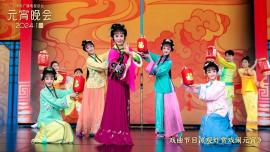 استقبال مخاطبان سراسر جهان از شب نشینی "جشن فانوس" رادیو و تلویزیون مرکزی چین