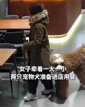 女子带狗进餐厅遭拒怒写差评