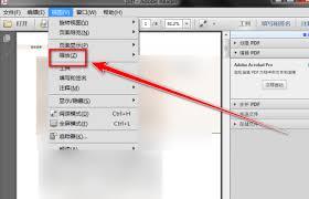 Adobe Reader XI如何放大选中内容