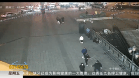 警察夫妻街头狂飙擒窃贼：“耗子撞见猫”撞个正着