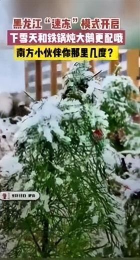 黑龙江伊春迎今秋首场降雪