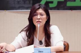 黄敏惠回应被点名参选国民党主席 或成各方妥协人选
