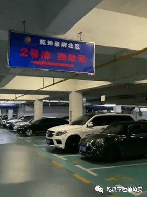 情侣在特斯拉旁亲热被全程录像 车主直播