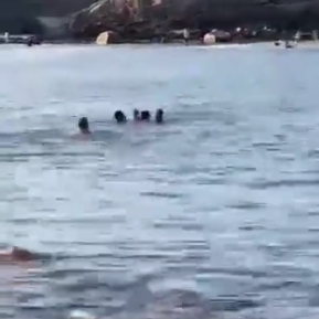 紧急时刻：3人被卷入海中！4名游客海边旅行救了3条人命
