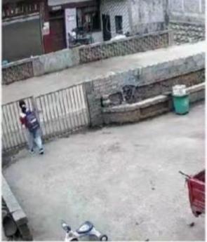 9岁走失女孩被找到 亲邻称其已遇难