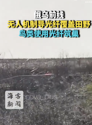 俄乌前线现光纤鸟巢
