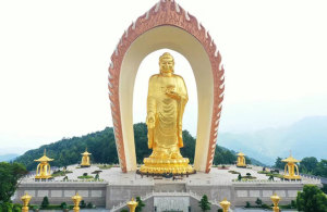 七月的东林寺净土苑：正以开放的姿态，迎接八方来朝者