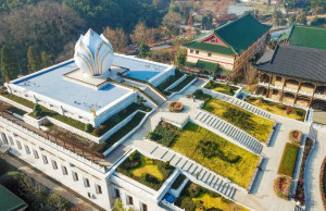 冬至阳来复，庐山东林寺草木见滋萌