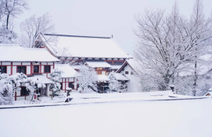 辛丑岁末，径山禅寺再迎瑞雪