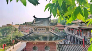 什么是结夏安居
