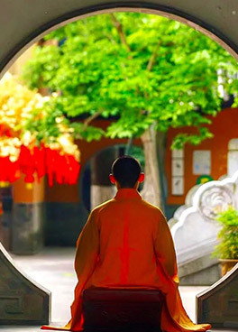 绿树阴浓夏日长丨南京灵谷寺夏日壁纸