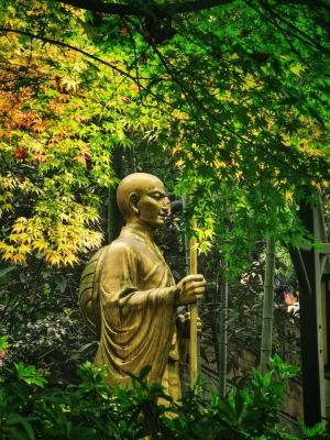 增长信心——忆念佛功德