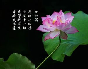 龙门东山上的千年古寺葬着一位大文豪！