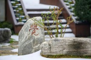 经常胡思乱想，其实是自己的业障