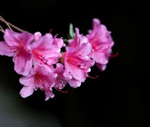 享受人生，珍惜人生