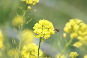 随喜赞叹的含义,如何随喜才能令功德最大?