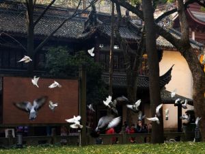 为什么要“利乐有情”？