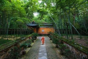 浙江佛教五名寻迹（八）名僧·智者大师