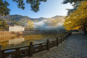 长者子因恭敬心增福延寿