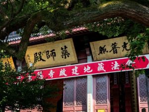 人皆衡彼值，品金两相持（下）