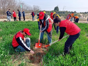 从校园到乡村：高校青协在“铁塔茶香·电暖乡村”活动中绽放青春光芒
